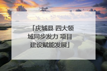 庆城县 四大领域同步发力 项目建设赋能发展