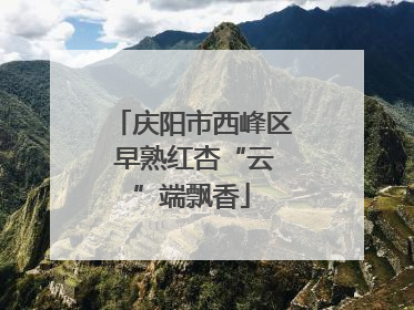 庆阳市西峰区 早熟红杏“云”端飘香