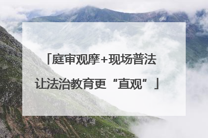 庭审观摩+现场普法 让法治教育更“直观”