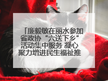 廉毅敏在丽水参加省政协“六送下乡”活动集中服务 凝心聚力增进民生福祉推进共同富裕