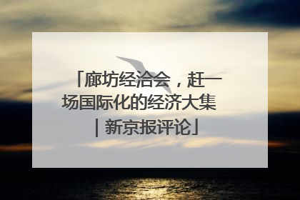 廊坊经洽会，赶一场国际化的经济大集｜新京报评论