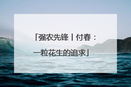 强农先锋丨付春：一粒花生的追求