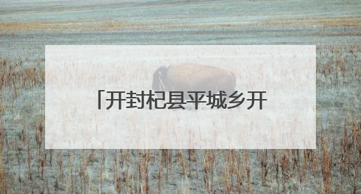 开封杞县平城乡开展“三夏”治安行动 守护丰收成果