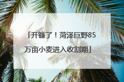开镰了！菏泽巨野85万亩小麦进入收割期