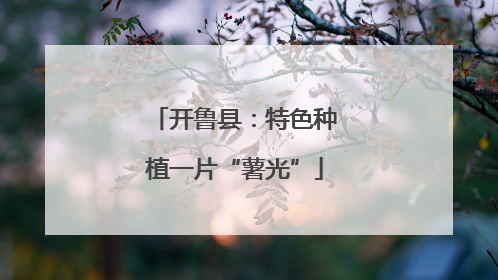 开鲁县：特色种植一片“薯光”