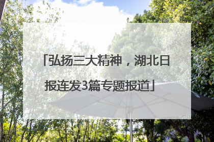 弘扬三大精神，湖北日报连发3篇专题报道