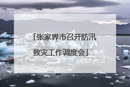 张家界市召开防汛救灾工作调度会