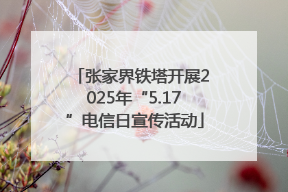 张家界铁塔开展2025年“5.17”电信日宣传活动