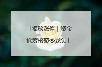 揭秘涨停｜资金抢筹核聚变龙头