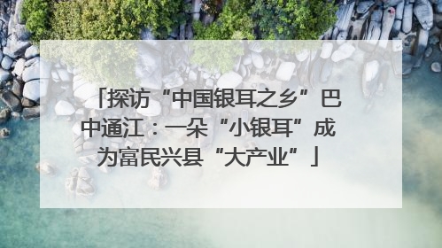 探访“中国银耳之乡”巴中通江：一朵“小银耳”成为富民兴县“大产业”