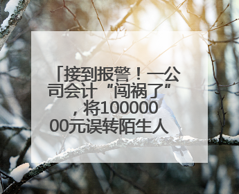 接到报警！一公司会计“闯祸了”，将10000000元误转陌生人账户！