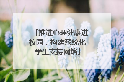 推进心理健康进校园，构建系统化学生支持网络