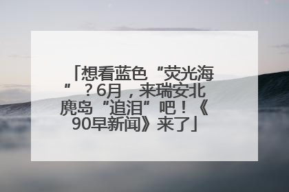 想看蓝色“荧光海”？6月，来瑞安北麂岛“追泪”吧！《90早新闻》来了