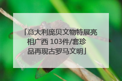意大利庞贝文物特展亮相广西 103件/套珍品再现古罗马文明