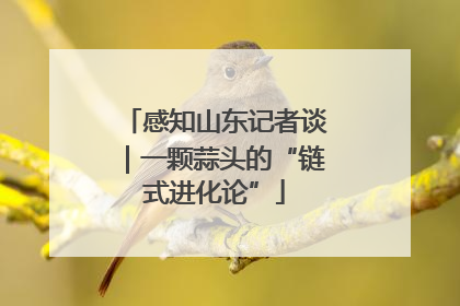 感知山东记者谈｜一颗蒜头的“链式进化论”