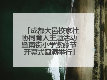 成都大邑校家社协同育人主题活动暨南街小学紫藤节开幕式圆满举行