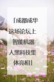 成都成华这场论坛上 智能机器人黑科技集体亮相