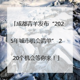 成都青羊发布“2025年城市机会清单” 220个机会等你来！
