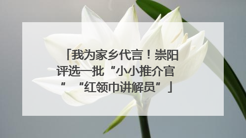 我为家乡代言！崇阳评选一批“小小推介官”“红领巾讲解员”