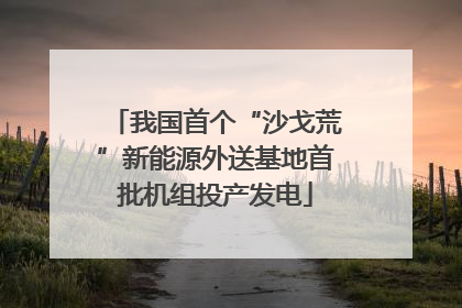 我国首个“沙戈荒”新能源外送基地首批机组投产发电