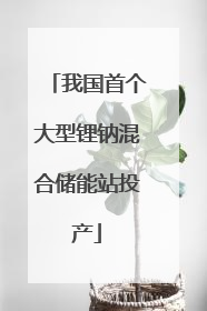 我国首个大型锂钠混合储能站投产