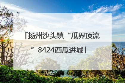 扬州沙头镇“瓜界顶流”8424西瓜进城