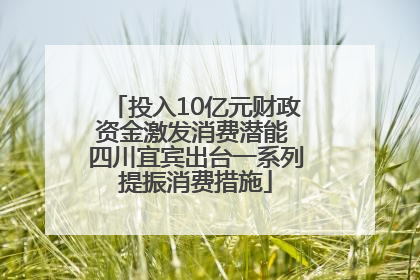 投入10亿元财政资金激发消费潜能 四川宜宾出台一系列提振消费措施