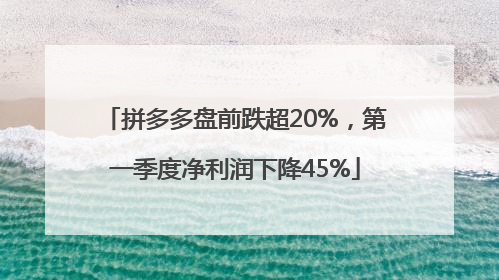 拼多多盘前跌超20%，第一季度净利润下降45%