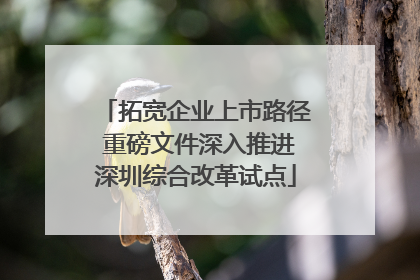 拓宽企业上市路径 重磅文件深入推进深圳综合改革试点