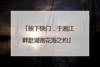 按下快门，于湘江畔赴湖南花海之约