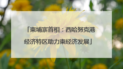 柬埔寨首相：西哈努克港经济特区助力柬经济发展