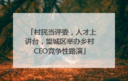 村民当评委，人才上讲台，望城区举办乡村CEO竞争性路演