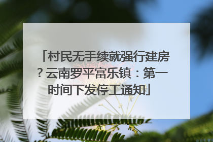 村民无手续就强行建房？云南罗平富乐镇：第一时间下发停工通知