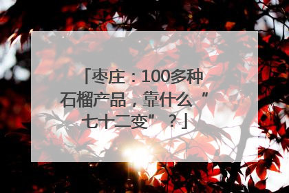 枣庄：100多种石榴产品，靠什么“七十二变”？