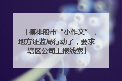 摸排股市“小作文”，地方证监局行动了，要求辖区公司上报线索