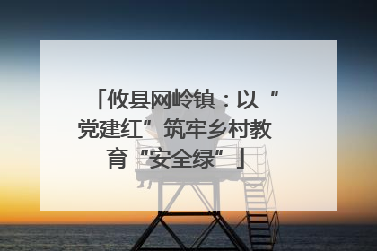 攸县网岭镇：以“党建红”筑牢乡村教育“安全绿”