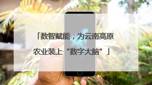 数智赋能，为云南高原农业装上“数字大脑”