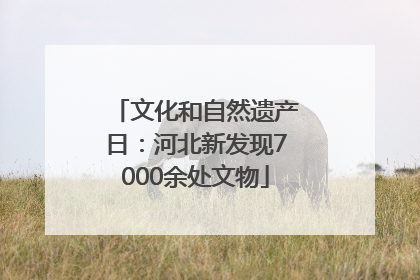 文化和自然遗产日：河北新发现7000余处文物