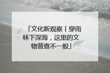文化新观察丨穿雨林下深海，这里的文物普查不一般