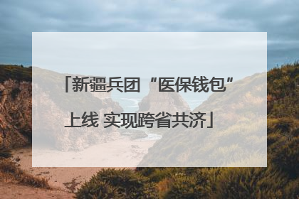 新疆兵团“医保钱包”上线 实现跨省共济