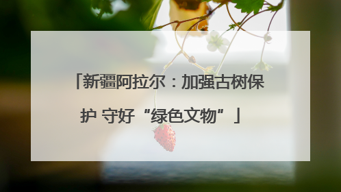 新疆阿拉尔：加强古树保护 守好“绿色文物”