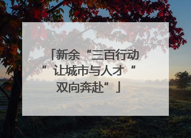 新余“三百行动”让城市与人才“双向奔赴”