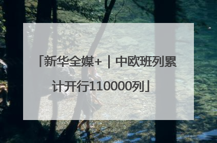 新华全媒+｜中欧班列累计开行110000列