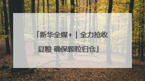 新华全媒+｜全力抢收夏粮 确保颗粒归仓
