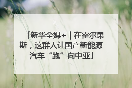 新华全媒+｜在霍尔果斯，这群人让国产新能源汽车“跑”向中亚
