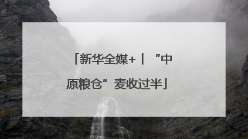 新华全媒+丨“中原粮仓”麦收过半