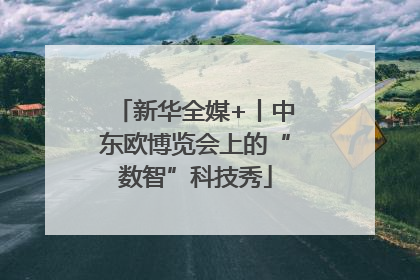 新华全媒+丨中东欧博览会上的“数智”科技秀