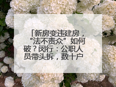 新房变违建房，“法不责众”如何破？闵行：公职人员带头拆，数十户违建清零