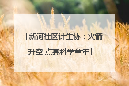 新河社区计生协：火箭升空 点亮科学童年