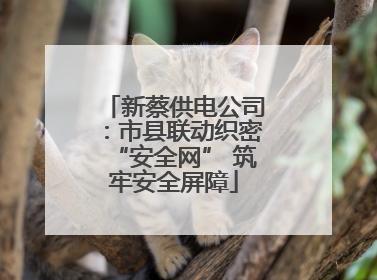 新蔡供电公司：市县联动织密“安全网” 筑牢安全屏障